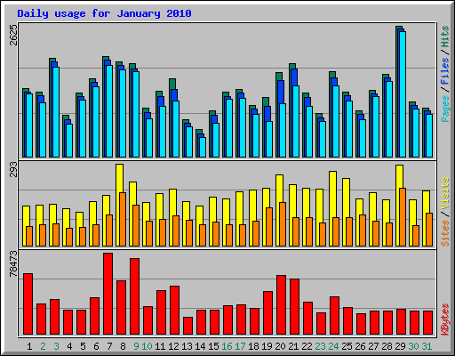 Daily usage for January 2010