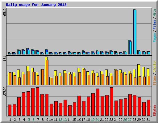 Daily usage for January 2013