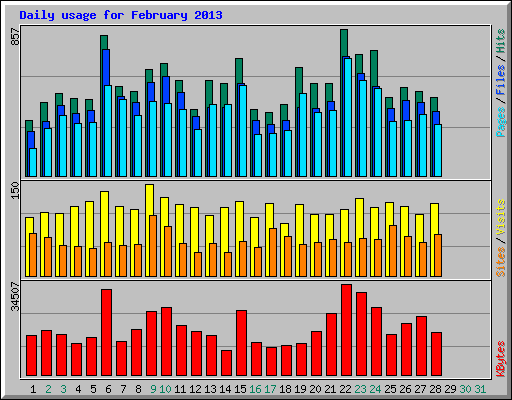 Daily usage for February 2013