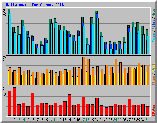 Daily usage for August 2013