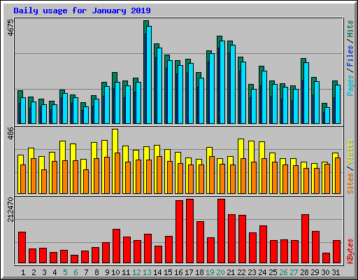 Daily usage for January 2019