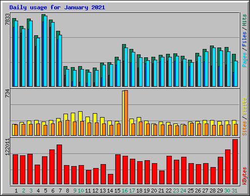 Daily usage for January 2021