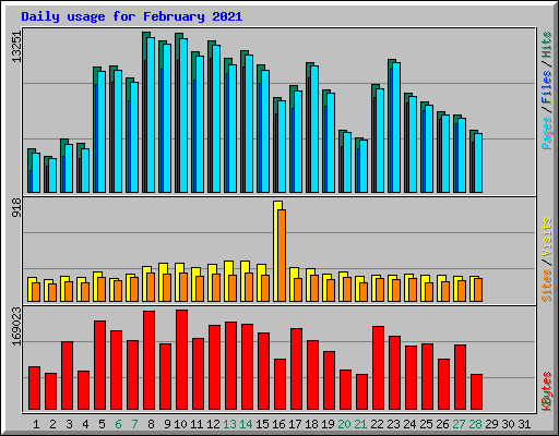 Daily usage for February 2021