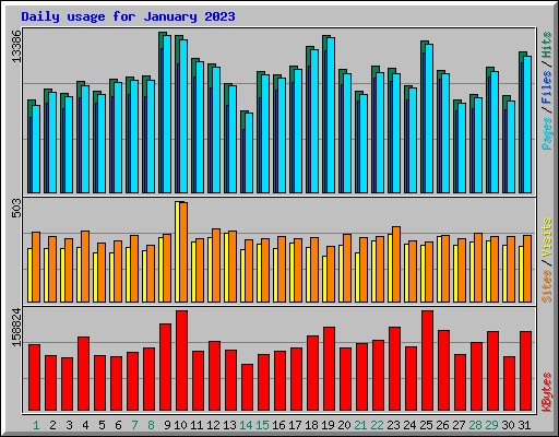 Daily usage for January 2023