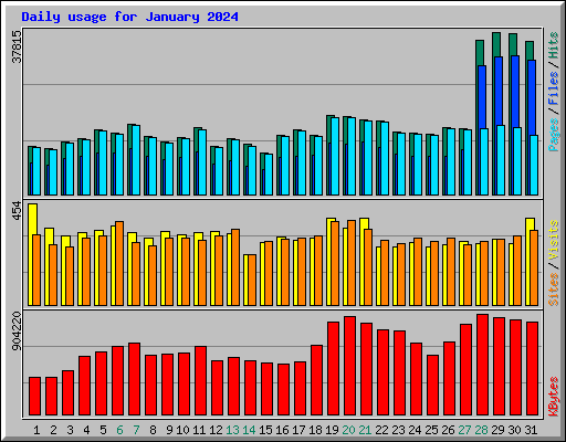 Daily usage for January 2024