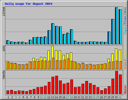 Daily usage for August 2024