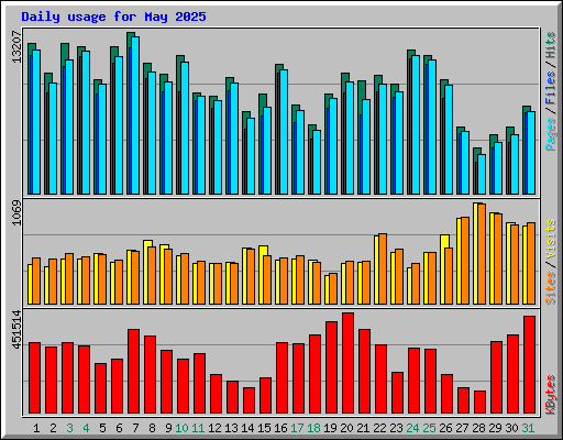 Daily usage for May 2025