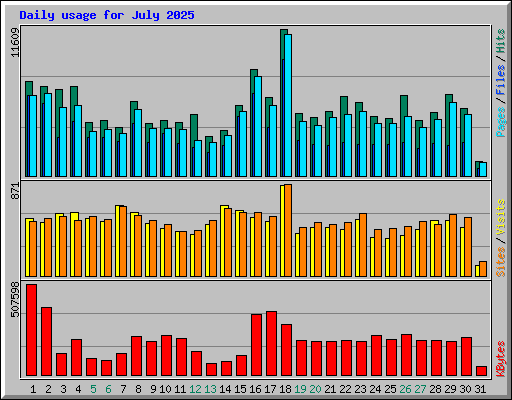 Daily usage for July 2025