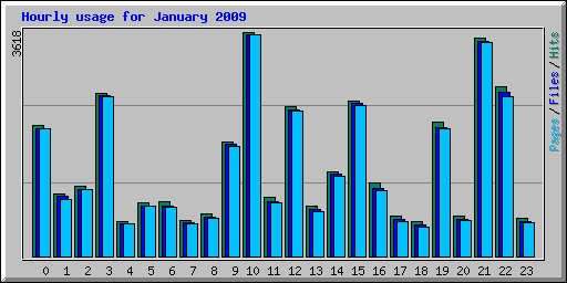 Hourly usage for January 2009