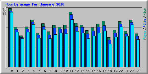 Hourly usage for January 2010