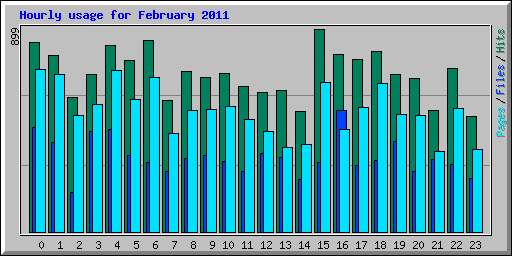 Hourly usage for February 2011