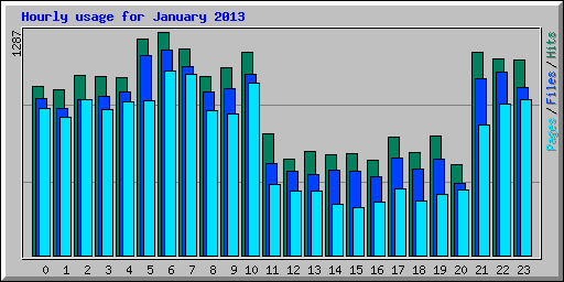 Hourly usage for January 2013