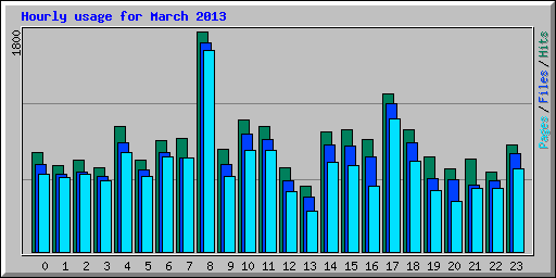 Hourly usage for March 2013