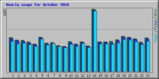 Hourly usage for October 2016