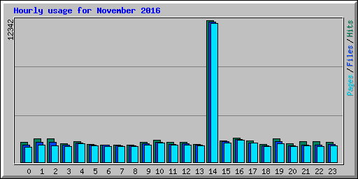 Hourly usage for November 2016