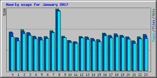 Hourly usage for January 2017