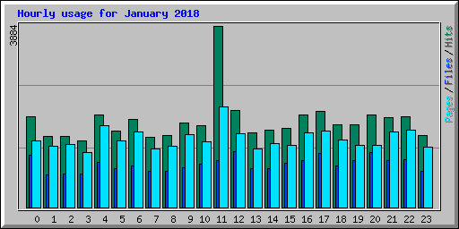 Hourly usage for January 2018