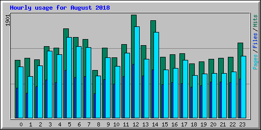 Hourly usage for August 2018