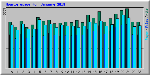 Hourly usage for January 2019