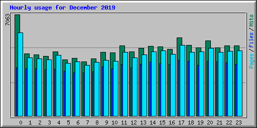 Hourly usage for December 2019