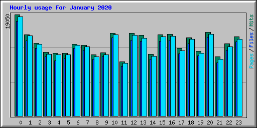 Hourly usage for January 2020