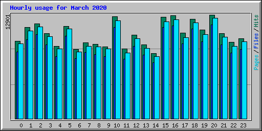 Hourly usage for March 2020