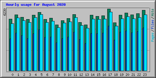 Hourly usage for August 2020