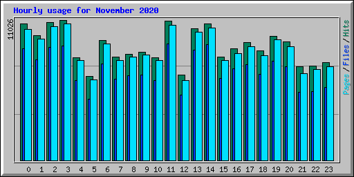 Hourly usage for November 2020