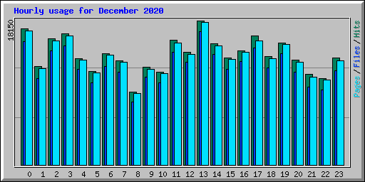 Hourly usage for December 2020