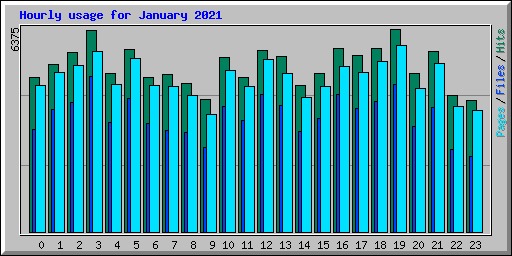 Hourly usage for January 2021