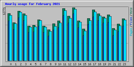 Hourly usage for February 2021