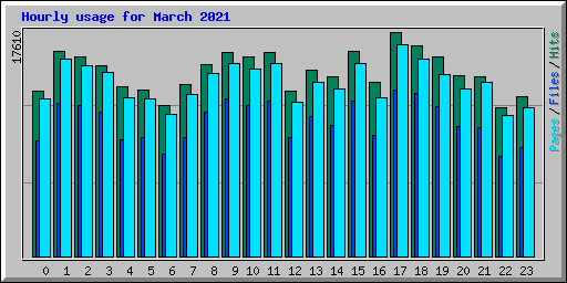 Hourly usage for March 2021
