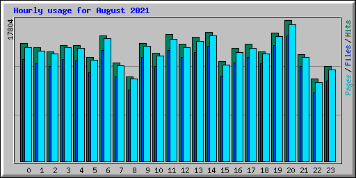 Hourly usage for August 2021