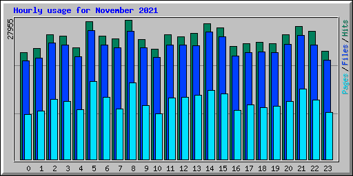 Hourly usage for November 2021