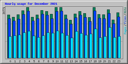 Hourly usage for December 2021