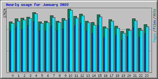 Hourly usage for January 2022