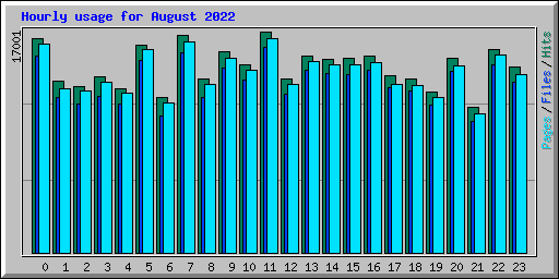 Hourly usage for August 2022