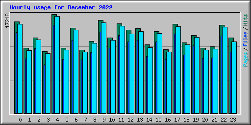 Hourly usage for December 2022