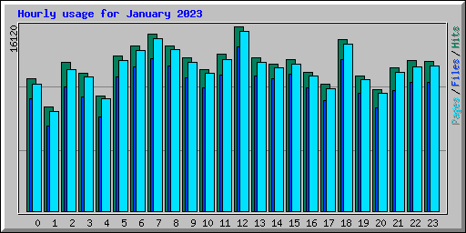 Hourly usage for January 2023