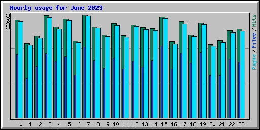 Hourly usage for June 2023