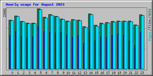 Hourly usage for August 2023