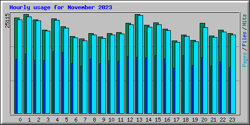 Hourly usage for November 2023