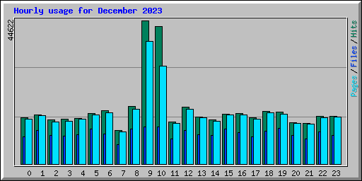 Hourly usage for December 2023