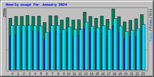 Hourly usage for January 2024