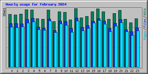 Hourly usage for February 2024