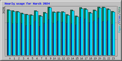 Hourly usage for March 2024