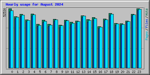 Hourly usage for August 2024