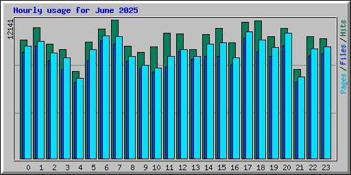 Hourly usage for June 2025