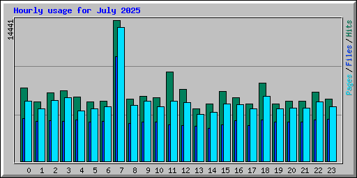 Hourly usage for July 2025