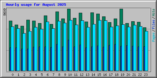 Hourly usage for August 2025